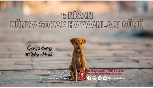 Kars, Ardahan, Iğdır Bölgesi Veteriner Hekimleri Odası Başkanı Ercan ÖDÜL “Dünya Sokak Hayvanları Günü”